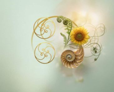 spirale dorée votre évolution intérieure est sinueuse