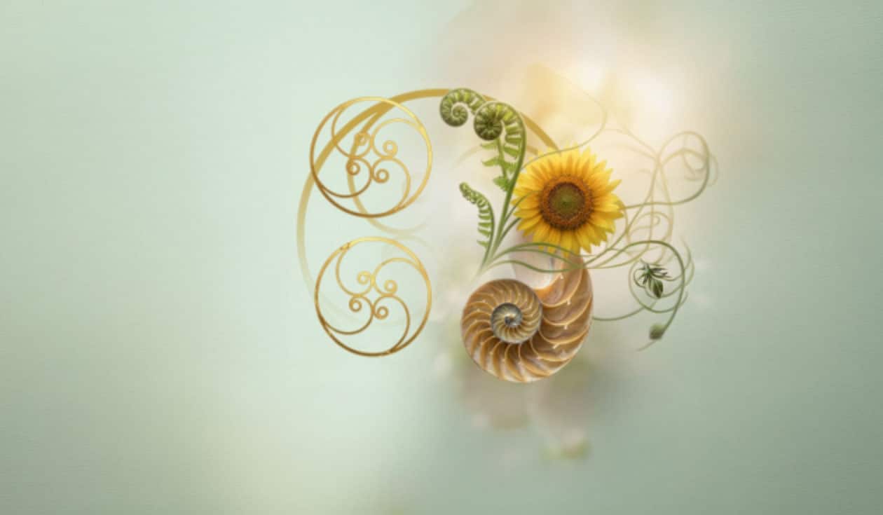 spirale dorée votre évolution intérieure est sinueuse