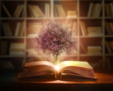 livre ouvert une lumière et des fleurs sortent du centre ecrire un livre sur le développement personnel