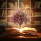 livre ouvert une lumière et des fleurs sortent du centre ecrire un livre sur le développement personnel