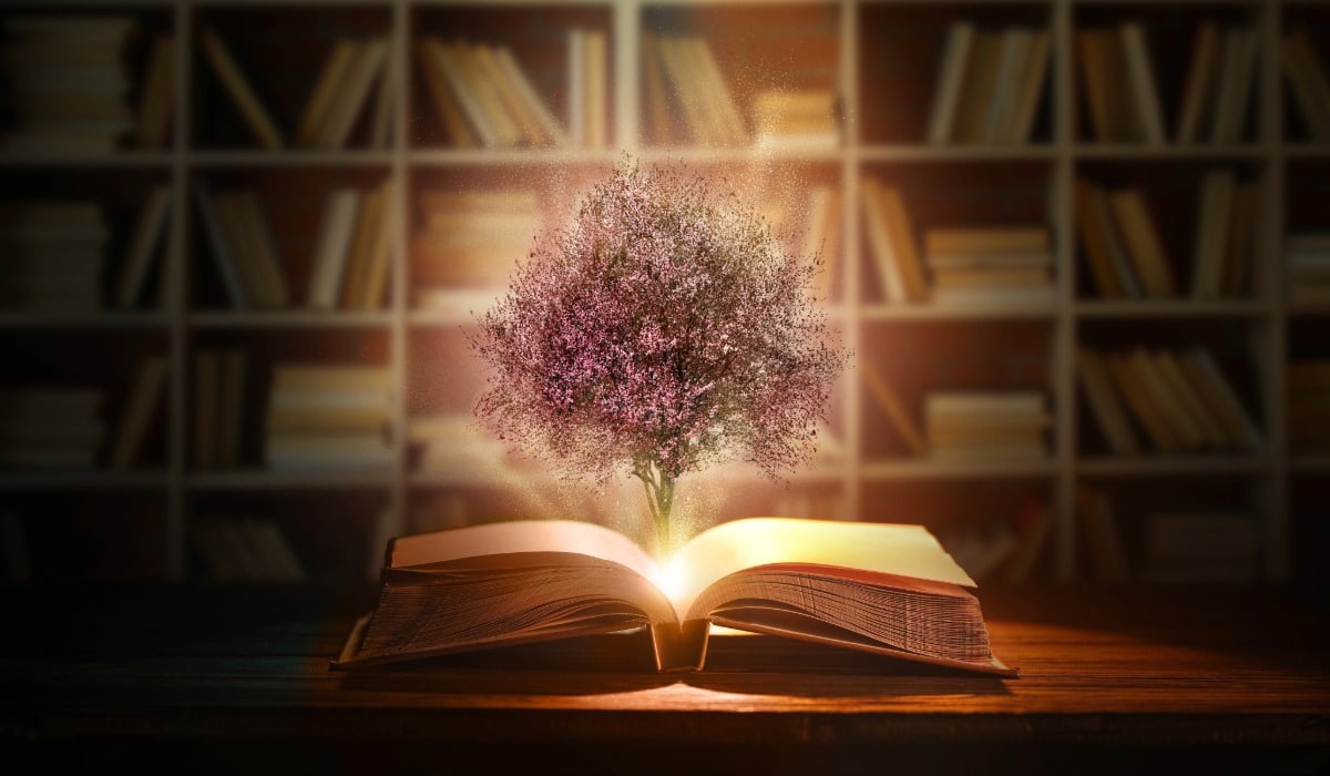 livre ouvert une lumière et des fleurs sortent du centre ecrire un livre sur le développement personnel